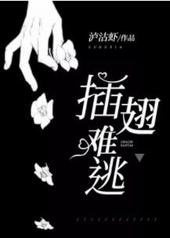 插翅难逃小说全文免费阅读